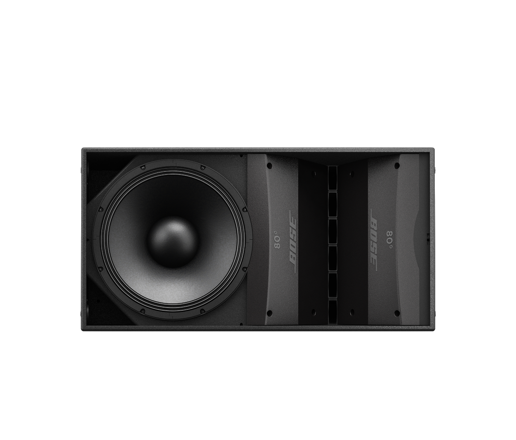 BOSE - ArenaMatch AM10/100 Loudspeaker